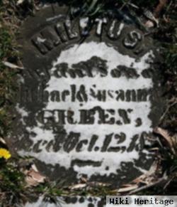 Miletus Green