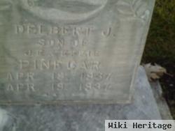 Delbert J Pinegar