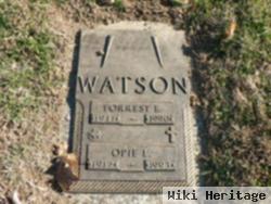 Forrest E Watson