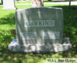 Anne H. Horrigan Gawkins