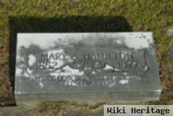 Mary A. Hamilton