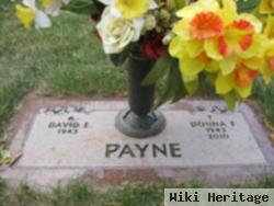 Donna Faye Reuter Payne