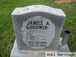 James A Goodwin