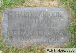 Mary Elizabeth Sams Hardenbrook