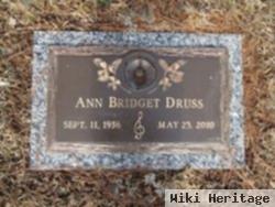 Ann Bridget Sullivan Druss