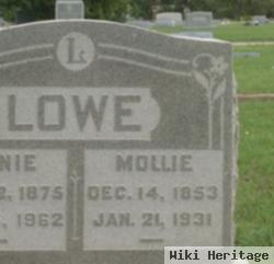 Mollie Lowe