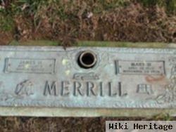 James H Merrill