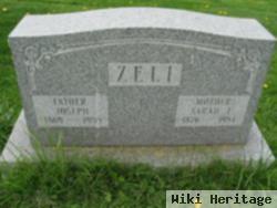 Sarah E. Ambler Zeli