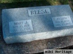 Mary Jane Hanes Reese