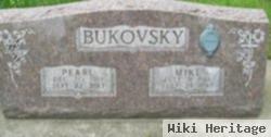 Mike Bukovsky