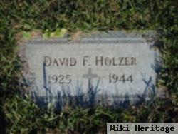 David F Holzer