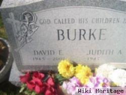 David E Burke