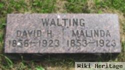 David H. Walting