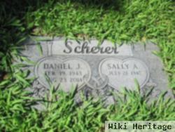 Daniel J Scherer