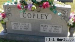 James Holly Copley