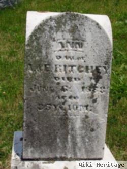 Ann Ritchey