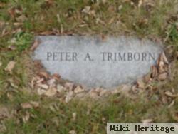 Peter A Trimborn