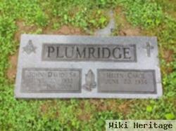 Helen Carol Countryman Plumridge