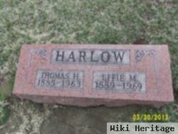 Thomas Henry Harlow