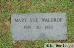 Mary Sue Thompson Waldrop