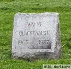 Wayne Quackenbush