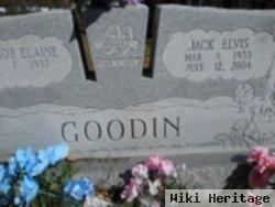 Jackie E. Goodin