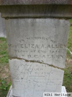 Eliza Ann Slover Allen