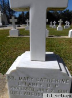 Sr Mary Catherine Delaney