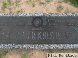 John Henry Sparkman