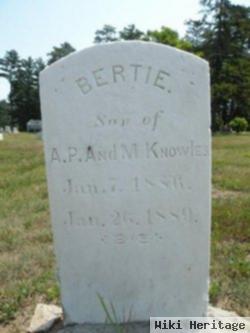 Bertie Knowles