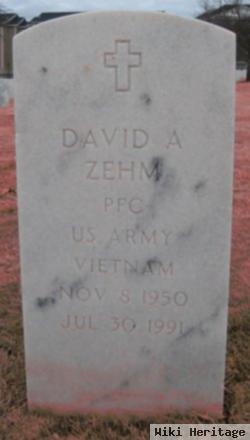 David A Zehm