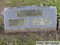 Sarah A. Hiltz