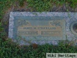 James Matthew Strickland, Sr