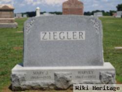 Harvey Ziegler