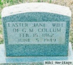 Easter Jane Stanphill Collum