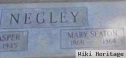 Mary Seaton Appleton Negley