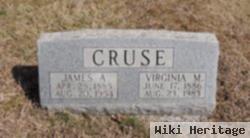 Virginia Mae Tyree Cruse