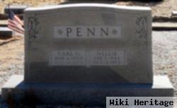 Nellie Penn