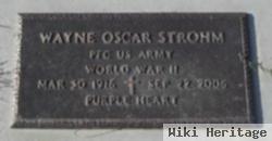 Wayne Oscar Strohm