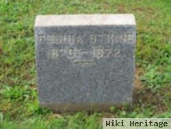 Sophrona Elizabeth "fronia" Strine