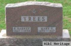 Mary E Trees