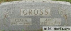 Elias A Gross