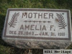 Amelia F Oberauter Erbes