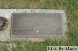 Amalia V. Cantu