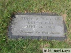 Tony A Taylor