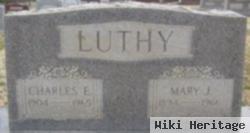 Mary J Luthy