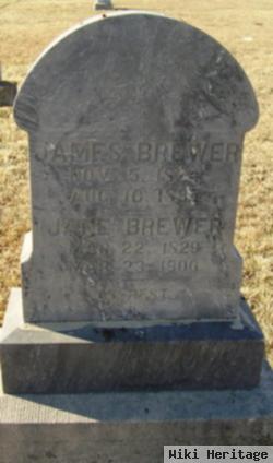 Jane Dixon Brewer