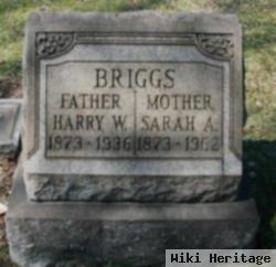 Harry W. Briggs