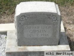 Cherrie Leigh Gipson