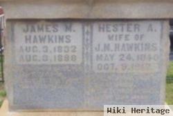 Hester Ann Manning Hawkins